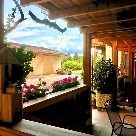 Appartement Rennerhof-siebeneichen Waschbaer *