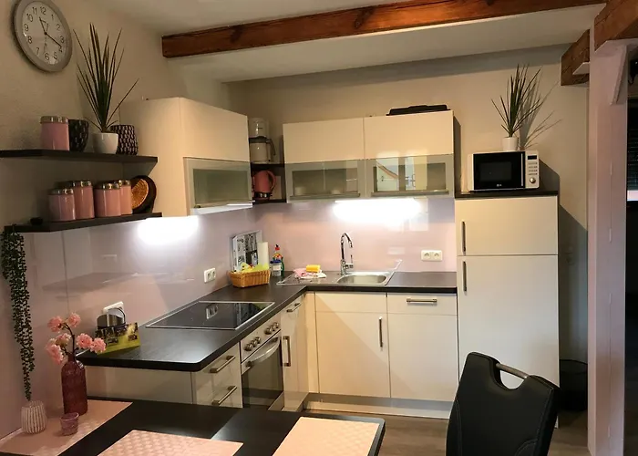 Rennerhof-siebeneichen Waschbaer Appartement