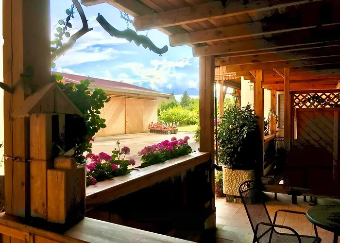 Appartement Rennerhof-siebeneichen Waschbaer *